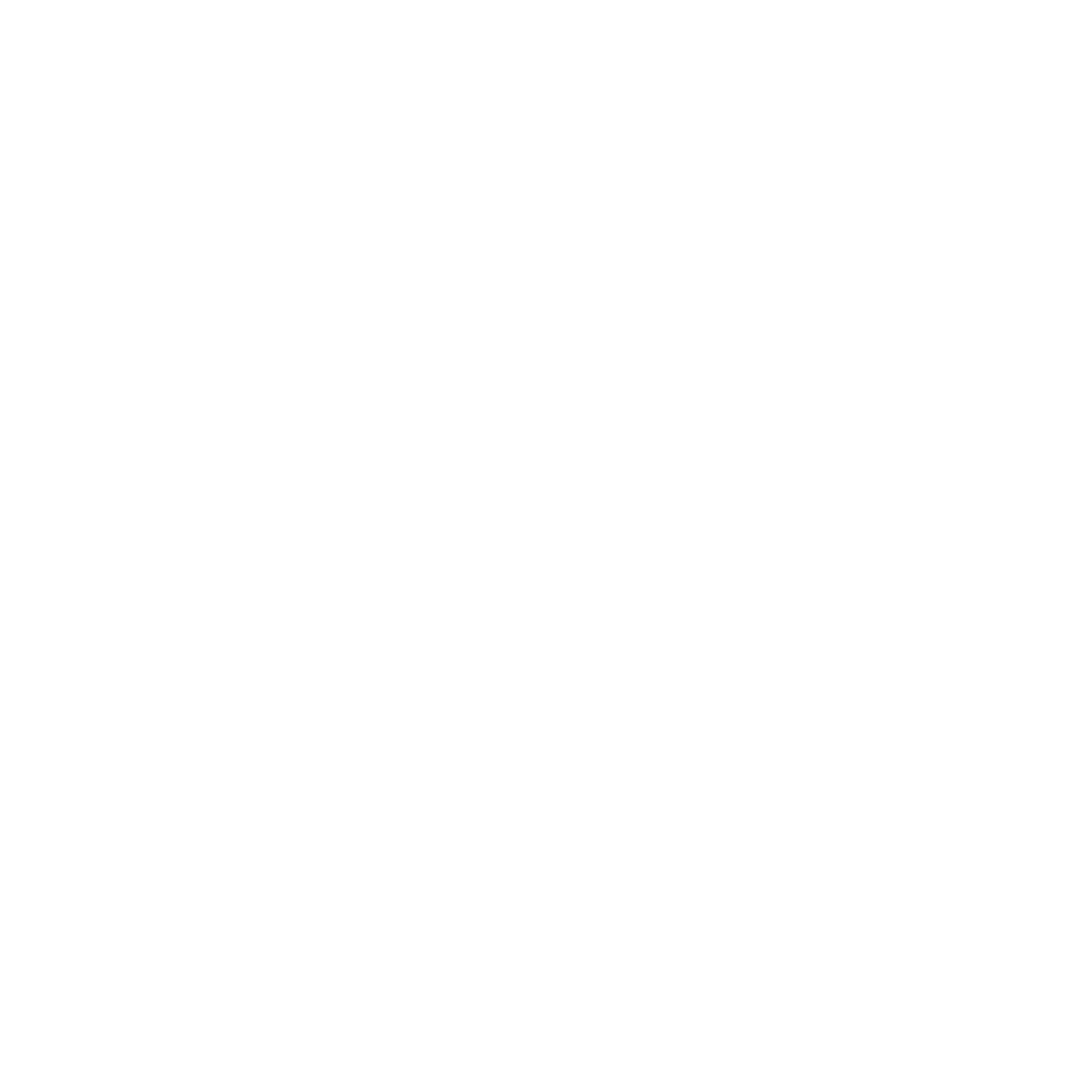 Shops Icon white