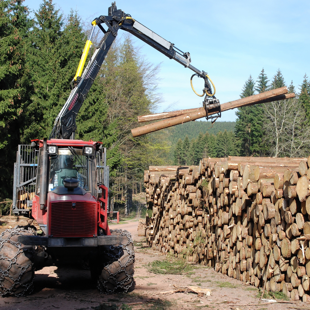 Forestry